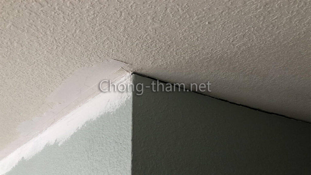 Chống thấm trần nhà, dịch vụ chống thấm trần nhà